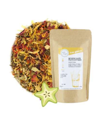 Infusion glacée fruits exotiques ( sachet de 80g )