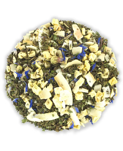 Infusion glacée menthe 70g